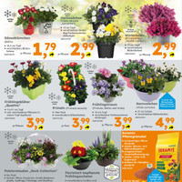 Globus Baumarkt Prospekt Seite 4