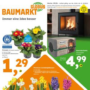 Globus Baumarkt