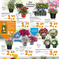 Globus Baumarkt Prospekt Seite 2