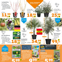 Globus Baumarkt Prospekt - Obst & Gemüse