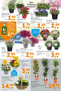 Globus Baumarkt Prospekt - Angebote ab 09.03. - Seite 2