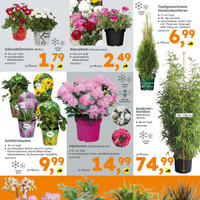 Globus Baumarkt Prospekt Seite 3