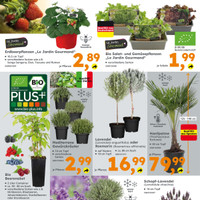 Globus Baumarkt Prospekt Seite 2