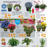 Globus Baumarkt Prospekt Seite 2