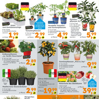 Globus Baumarkt Prospekt - Obst & Gemüse