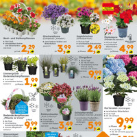 Globus Baumarkt Prospekt Seite 9