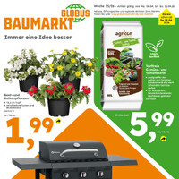 Globus Baumarkt Prospekt - Blumen