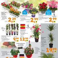 Globus Baumarkt Prospekt - Obst & Gemüse