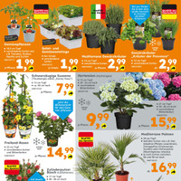 Globus Baumarkt Prospekt Seite 2