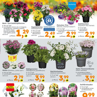 Globus Baumarkt Prospekt Seite 3