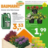 Globus Baumarkt Prospekt - Blumen