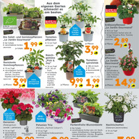 Globus Baumarkt Prospekt Seite 2