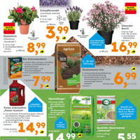 Globus Baumarkt Prospekt Seite 3