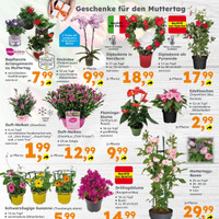 Globus Baumarkt Prospekt Seite 2