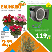 Globus Baumarkt Prospekt - Blumen