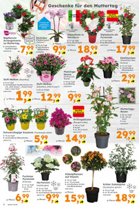 Globus Baumarkt Prospekt - Angebote ab 04.05. - Seite 2