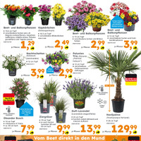 Globus Baumarkt Prospekt Seite 3