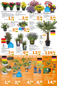 Globus Baumarkt Prospekt - Angebote ab 04.05.