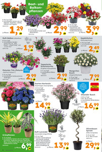 Globus Baumarkt Prospekt - Angebote ab 18.05. - Seite 2
