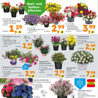 Globus Baumarkt Prospekt Seite 2