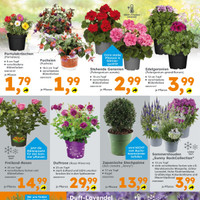 Globus Baumarkt Prospekt Seite 2