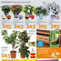 Globus Baumarkt Prospekt Seite 3
