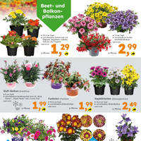 Globus Baumarkt Prospekt Seite 2