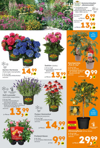Globus Baumarkt Prospekt - Angebote ab 01.06.