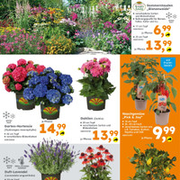 Globus Baumarkt Prospekt - Obst & Gemüse