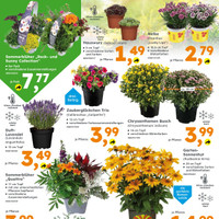 Globus Baumarkt Prospekt Seite 4