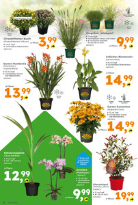 Globus Baumarkt Prospekt - Werbewoche 29/26 - Seite 2