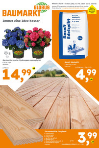 Globus Baumarkt Prospekt - Werbewoche 30/2026