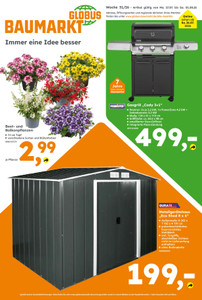 Globus Baumarkt Prospekt - Werbewoche 31/2026