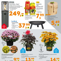 Globus Baumarkt Prospekt - Blumen