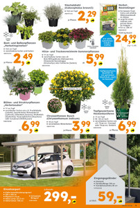 Globus Baumarkt Prospekt - Angebote ab 31.08.
