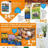 Globus Baumarkt Prospekt - Blumen