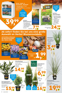 Globus Baumarkt Prospekt - Angebote ab 14.09.