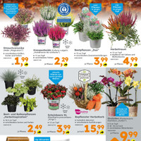 Globus Baumarkt Prospekt Seite 5