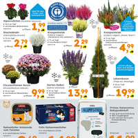 Globus Baumarkt Prospekt - Blumen