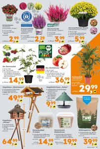 Globus Baumarkt Prospekt - Angebote ab 12.10.