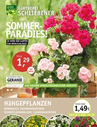 Gärtnerei Schliebener Prospekt - Angebote ab 23.04.