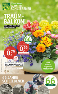 Gärtnerei Schliebener Prospekt - Angebote ab 22.04.