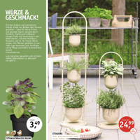 Gärtnerei Schliebener Prospekt Seite 11