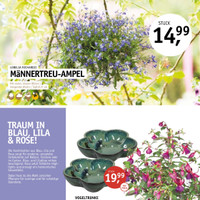 Gärtnerei Schliebener Prospekt Seite 15