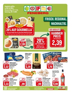 Feneberg Prospekt - 20% auf Gourmella