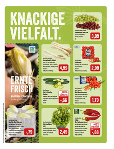 Feneberg Prospekt - Angebote ab 19.03.