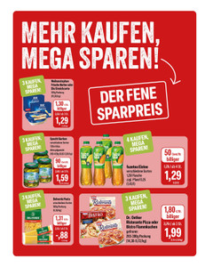 Feneberg Prospekt - Angebote ab 19.03.