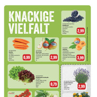 Feneberg Prospekt - Obst & Gemüse