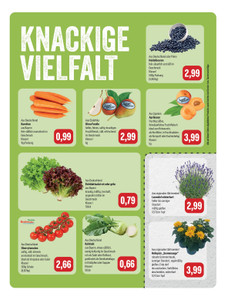 Feneberg Prospekt - Angebote ab 30.07.