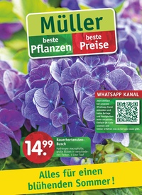 Gartencenter Müller Prospekt - Müller - Alles für einen blühenden Sommer!